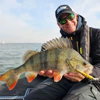 Salmo Rattlin Sting Suspending 9cm